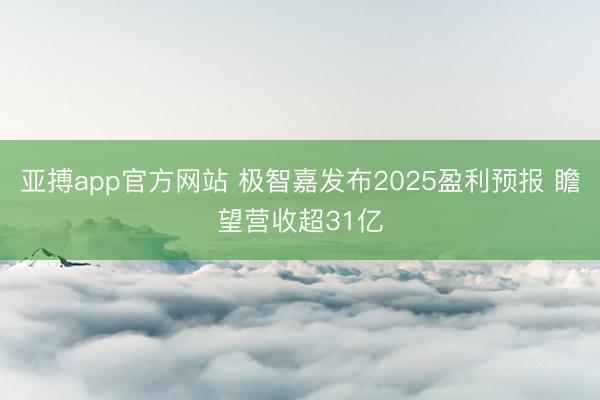 亚搏app官方网站 极智嘉发布2025盈利预报 瞻望营收超31亿