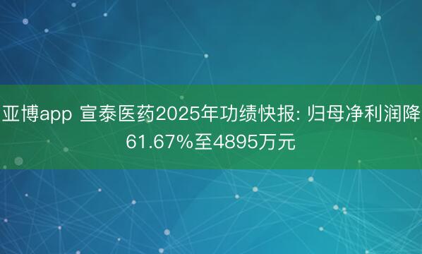 亚博app 宣泰医药2025年功绩快报: 归母净利润降61.67%至4895万元