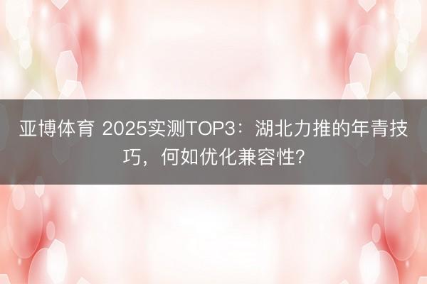 亚博体育 2025实测TOP3：湖北力推的年青技巧，何如优化兼容性？