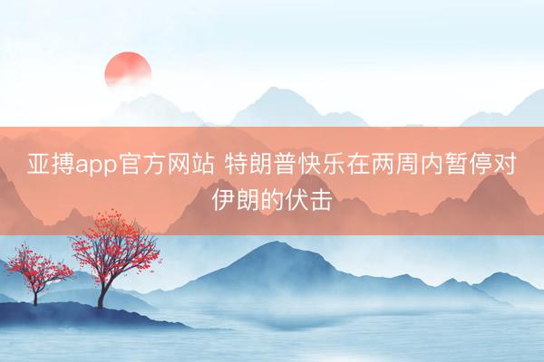 亚搏app官方网站 特朗普快乐在两周内暂停对伊朗的伏击