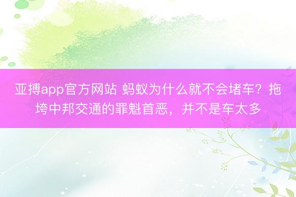 亚搏app官方网站 蚂蚁为什么就不会堵车?拖垮中邦交通的罪魁首恶,并不是车太多