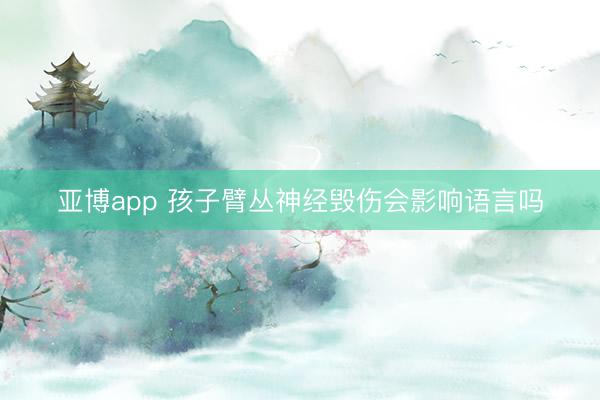 亚博app 孩子臂丛神经毁伤会影响语言吗