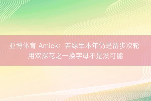 亚博体育 Amick：若绿军本年仍是留步次轮 用双探花之一换字母不是没可能