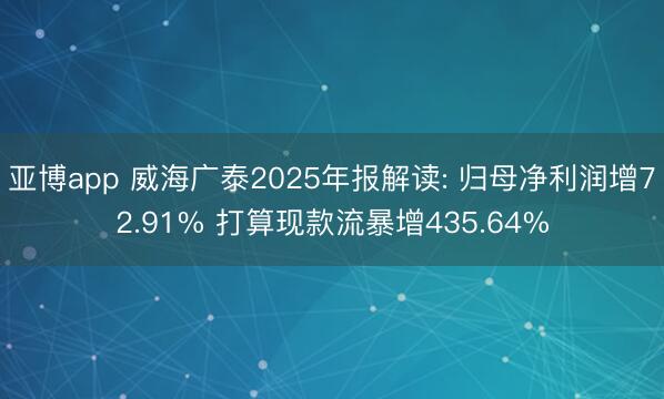 亚博app 威海广泰2025年报解读: 归母净利润增72.91% 打算现款流暴增435.64%