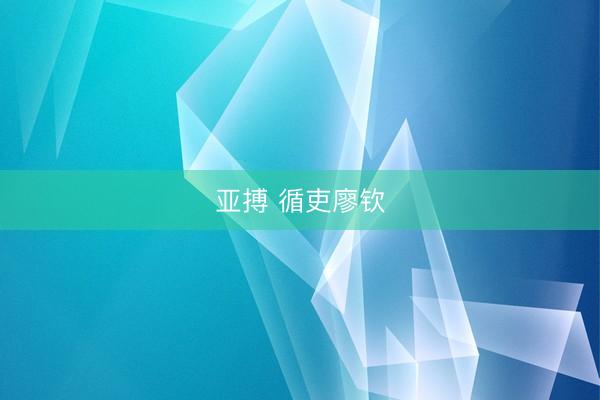 亚搏 循吏廖钦