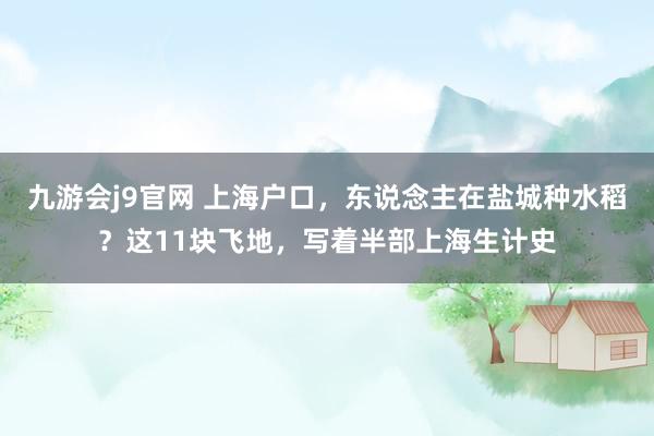 九游会j9官网 上海户口，东说念主在盐城种水稻？这11块飞地，写着半部上海生计史