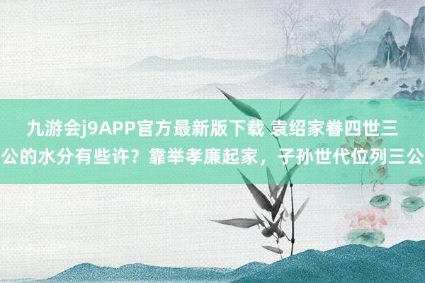 九游会j9APP官方最新版下载 袁绍家眷四世三公的水分有些许？靠举孝廉起家，子孙世代位列三公