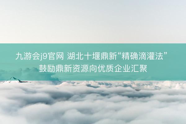 九游会j9官网 湖北十堰鼎新“精确滴灌法” 鼓励鼎新资源向优质企业汇聚